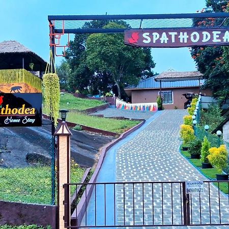 Spathodea 바가몬 외부 사진