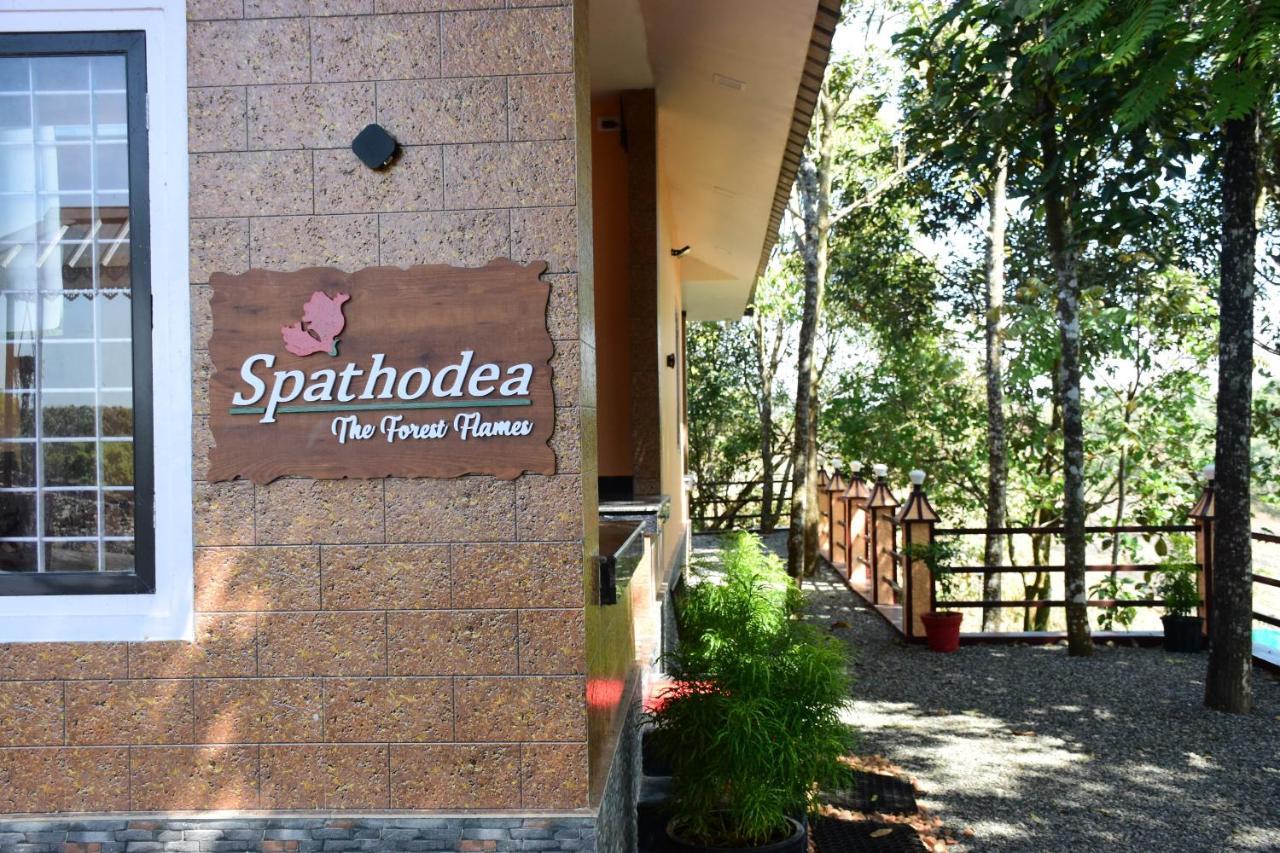 Spathodea 바가몬 외부 사진