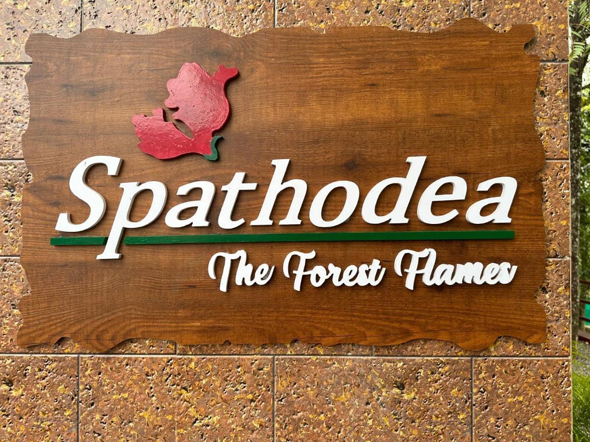Spathodea 바가몬 외부 사진